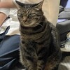 四日目　操体の勉強のしかた。