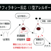 循環血液減少性ｼｮｯｸ