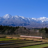 冠雪の妙高山と交直流急行色413・455系を撮る！(えちごトキめき鉄道撮影編)