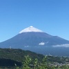 頂き物は写真もあり♪〜富士山とそのふもと〜