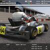 Kart Racing Pro