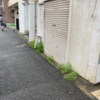 ポケウォーカー歩数=9,998＼HJ-326Fは「10,116」(2024.07/02記す)