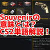CS2の「Souvenir」ってどういう意味？意味を解説！【単語解説】