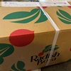 ラディッシュボーヤ