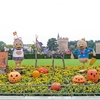 DPAを使って効率よくパークを回る術！ハロウィンディズニーに子どもと二人で行ってきたよ～！