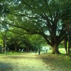 大阪市立大学理学部付属植物園