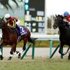 競馬初心者必見☆馬券予想🔥〜朝日杯FS〜上位人気の距離短縮組は疑え！〜