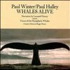  Paul Winter / Whales Alive