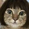 どこへでも、一緒に行こう٩(๑❛ᴗ❛๑)۶
