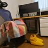 足もと暖房の最終対策は　ダウンシューズです。