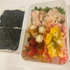 ネギ塩鶏肉弁当