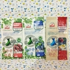 この時期イチオシ🌻入荷情報