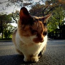 どうしようかねぇ。