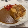 大盛りにしなくても腹一杯！！ダブルカツカレーで腹パンなランチはどうでしょう！？@カレーハウスリオ横浜ジョイナス店