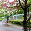 春たけなわの水沢の森～変わりやすい天気だった