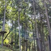 夏の箱根旅行④フォレストアドベンチャー、そして帰路へ