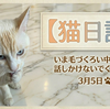 3月5日　毛づくろい中のぼく　ペット用消臭スプレー
