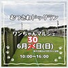 むつさわドックラン ワンちゃんマルシェ 6月30日(日)10:00～16:00
