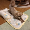 あ”〜