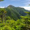【南アルプス】塩見岳〜北岳縦走 day1：鳥倉登山口から塩見小屋へ美しき樹林帯をゆく