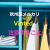 大人気！欧州版メルカリ【Vinted】売りやすいけど、注意すること