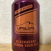 アメリカ UPSLOPE BLACKBERRY LEMON SOUR ALE