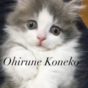おひるね こねこ ブログ