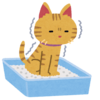 飼い猫のトイレ改善