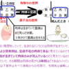 人間vs霊魂①・・・放縦論の意味するところ