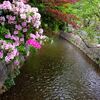 高瀬川浪漫