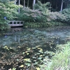 板取川温泉