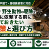 堺市で野生動物の駆除を業者に依頼する前に知っておきたい対策と選び方