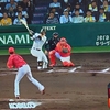 落ち込んだ気持ちが少しは癒された