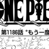 【ワンピース1186話考察】軍子は天竜人-実父・マンマイヤー—ブルックはいつ悪魔の実を食べた?