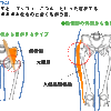 脚を回すと音がする：弾発股