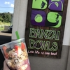 【Banzai Bowls】サーファー ロコがいっぱいのアサイーボウルのお店【ノースショア】