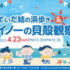 てぃだ結の浜歩き&イノーの貝殻観察イベントの報告です