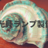 奄美大島の夜光貝でランプを製作。磨き方の流れを紹介します！