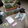 ３年生：理科　虫眼鏡を使って植物を観察
