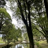 セドと「神社の話」編①