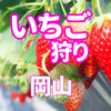 2022年-2023年【岡山】 いちご狩り 人気スポット18選