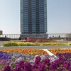 新しい広島駅ができるまで