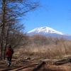 軽井沢のイカルカフェ