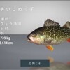 Fishing Planet：レズニヴィラ漁場-怪物魚パーチいじめっ子