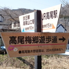 高尾梅郷梅まつり③　小仏梅林
