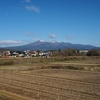 きょうの安達太良（ご当地桜もいよいよ見納め・・・）