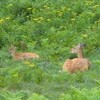 雨の一日