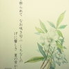 くちなしの花 Cape jasmine