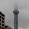空振り…