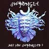 Are You Shpongled?/Shpongle（1998）